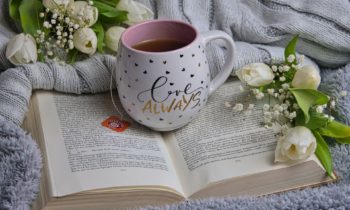 Der Büchertisch meldet sich zurück …