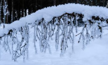 Was wiegt eine Schneeflocke? Eine kleine Inspiration für den Dezember