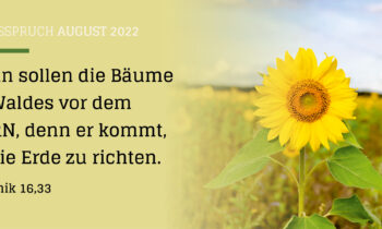 Richtiger Jubel wird kommen!