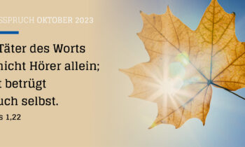 Von Haien und Gurken.