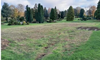 Ausgezeichnet!!! Der Friedhof lebt!