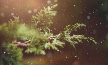 Türchen 1: Ein neuer Anfang