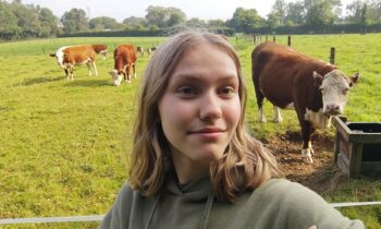 Türchen 15: Mein Bericht aus Irland