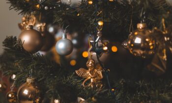 Türchen 14: Die Frage nach dem Weihnachtsbaum