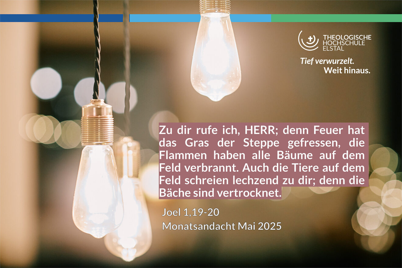 Die Wüste lebt! Gedanken zum Monatsspruch Mai 2025