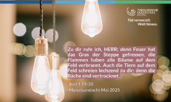 Die Wüste lebt! Gedanken zum Monatsspruch Mai 2025