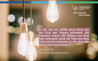 Die Wüste lebt! Gedanken zum Monatsspruch Mai 2025