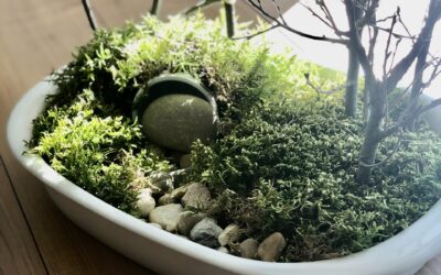 Ostern 2025 – Da blüht was auf!