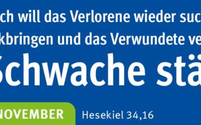 Verloren – Gesucht – Gefunden! Gedanken zum Monatsspruch November 2025