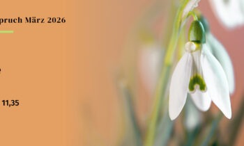 Tränen lügen nicht! Andacht zum Monatsspruch März 2026